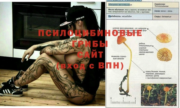 гашишное масло Балахна